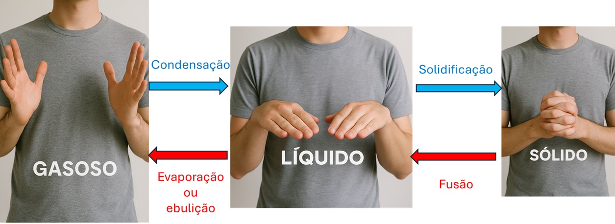 Esquema com Gasoso, Líquido e Sólido e as setas das mudanças: condensação e solidificação (resfriamento), evaporação ou ebulição e fusão (aquecimento).
