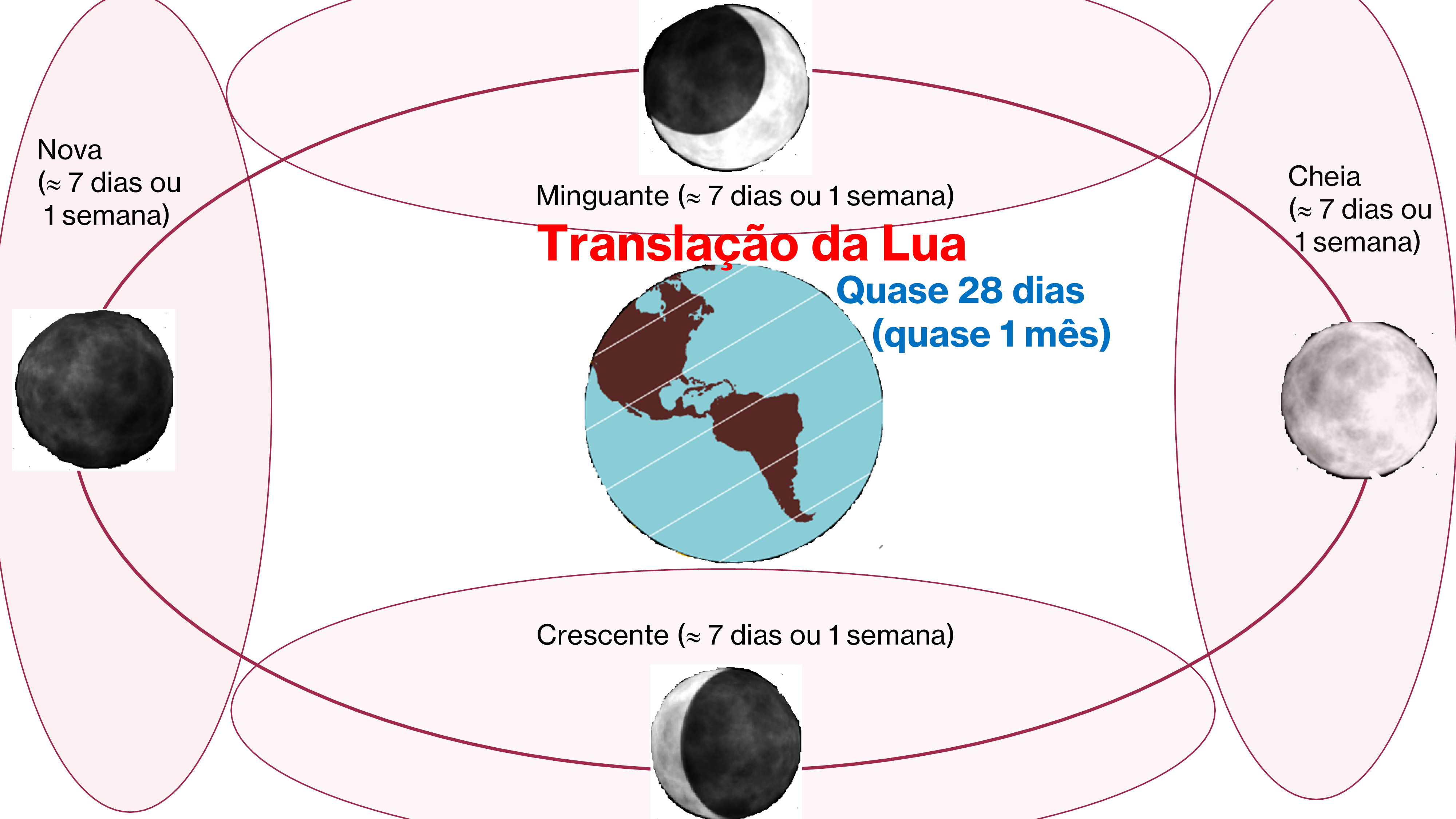 As quatro fases principais da Lua ao redor da Terra — Nova, Crescente, Cheia e Minguante — cada uma durando cerca de 7 dias (1 semana).